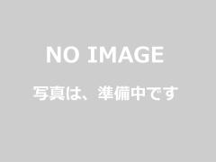 [WE] RARS M4 R5 V3 TANカラー GBB ガスブローバックガン (新品予約受付中! 特典あり)