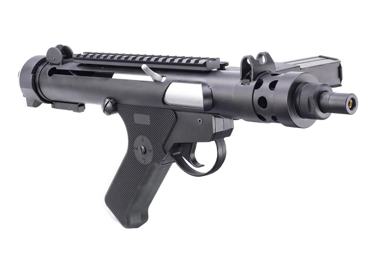 2026年02月05日の入荷