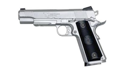 [WA] ナイトホーク タロン リーコンフレーム ガスブローバック 塗装カスタム ガンケース付 (中古)サブ画像へ1