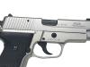 [タナカ] SIG/SAUER P228 ウォームシルバーコーティング オールHW エボリューション2 発火モデルガン (新品)