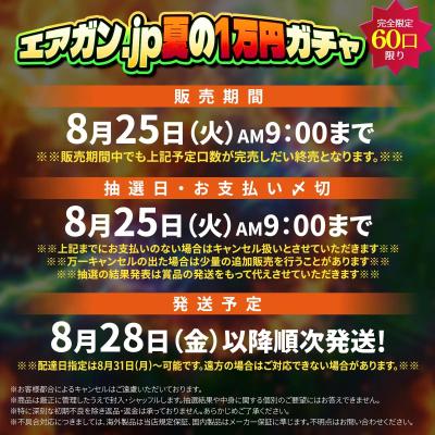 [エアガンJP2026 夏企画2] 【ターゲットを狙撃せよ！】 エアガン.jp 夏の1万円ガチャ第二段 ～10割ほぼトントン以上編～ (新品予約受付中!)サブ画像へ6