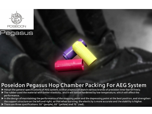 [POSEIDON] Pegasus/AEG HOP パッキン -硬度60- (新品) 製品参考画像 