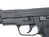 [タナカ] SIG/SAUER P229 エボリューション2 オールHW 発火モデルガン (新品)