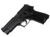 [タナカ] 9mm拳銃 SIG SAUER P220 陸上自衛隊 ABS 発火モデルガン (未発火)